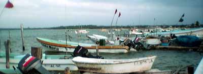 boat trips to watch birds