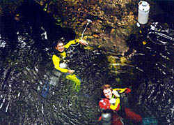 Cave divers - photo by Steve Gerrard