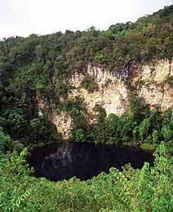 Big Cenote near Chetumal, Mexico