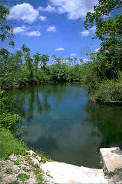 Carwash cenote - photo by Steve Gerrard