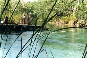 holbox pool mexico