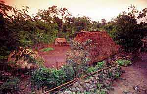 maya mayan indians