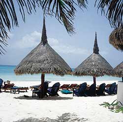 playa del carmen hotels